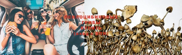 бошки Беломорск