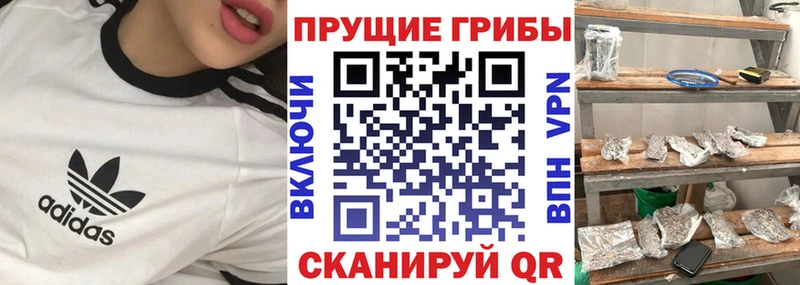 Псилоцибиновые грибы ЛСД  купить наркотики сайты  Маркс 
