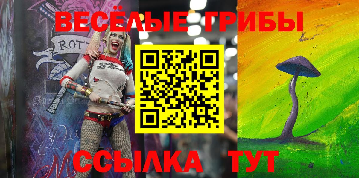 Маркс  Псилоцибиновые грибы Psilocybe  наркота  Вход с VPN  Псилоцибиновые грибы Magic Shrooms 